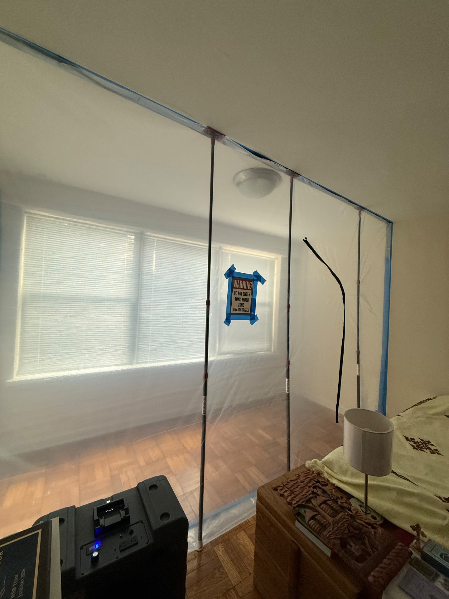 Mold Remediation