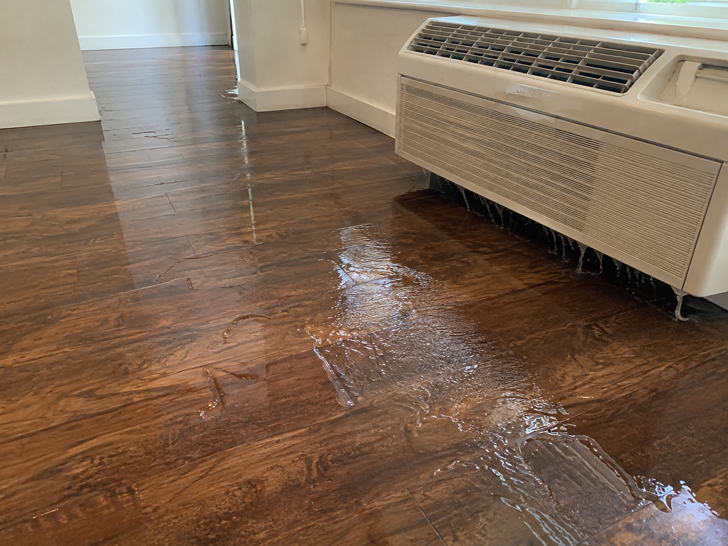 Water Damage Restoration